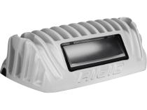 1x2 65 Degree DC Power Scene Light White Housing RIGID Industries
